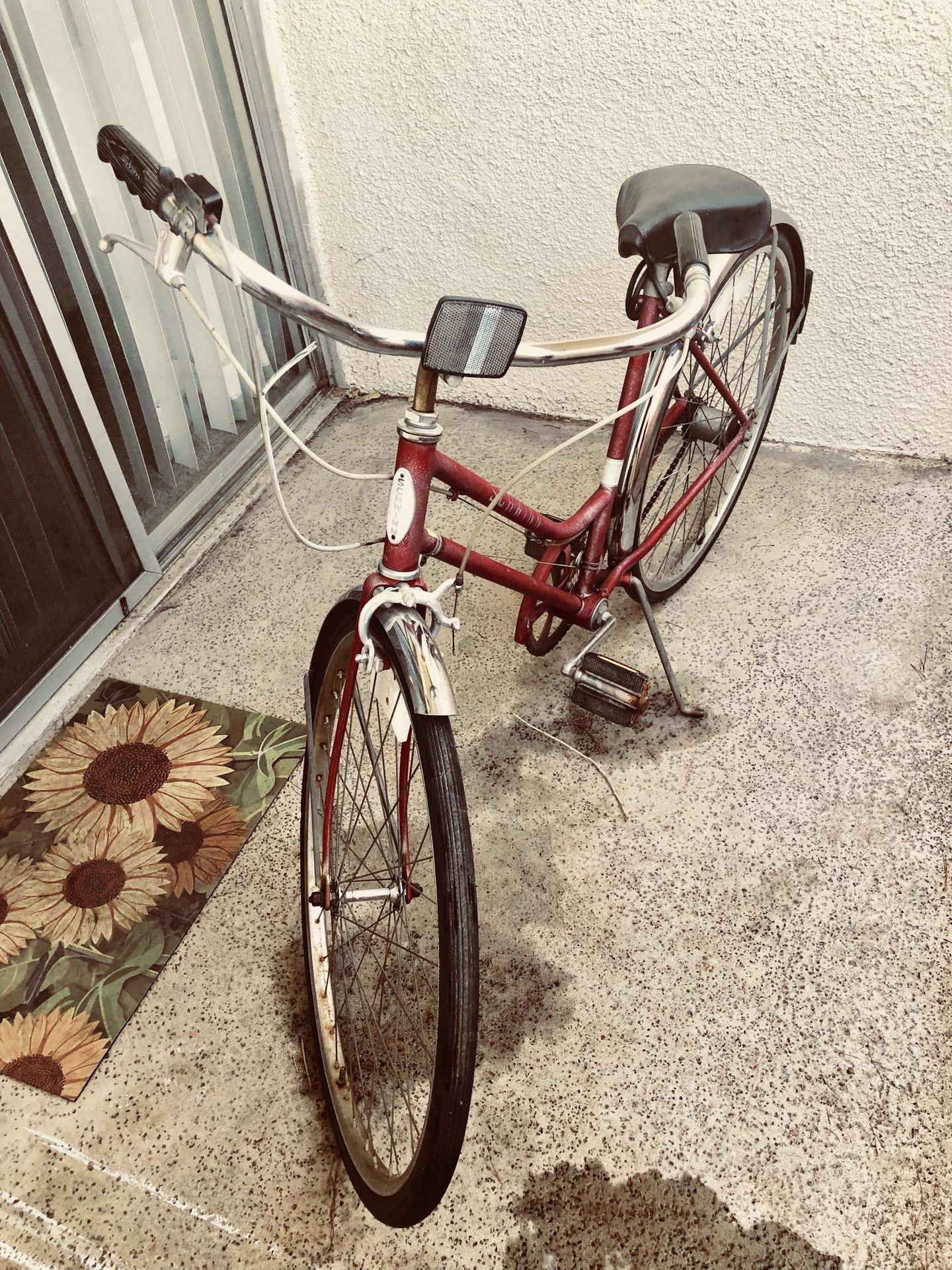1960’s Schwinn Vintage Women’s Bike 24”