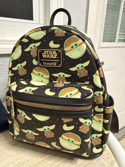 New lougefly backpack brought at park value 80