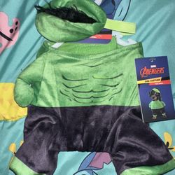 Dog Costume HULK small