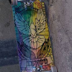 Brand New Skateboard 