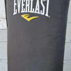 Everlast Punching Bag