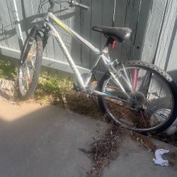 Road master Mountain Bike