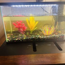 Fish Tank With Accessories And Table 