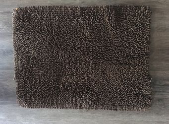 Absorbent dog rug