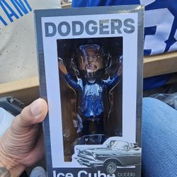 Ice Cube Bobble Head
