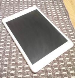 iPad Mini 1st Gen (Read Details 1st!)