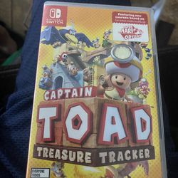 Toad Game For Nintendo 