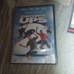 Grown Ups 2 Dvd