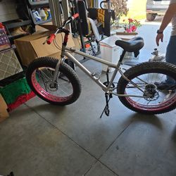 Mongoose Malusfat Tire Mountain Bike