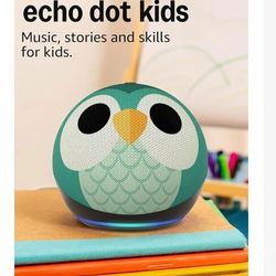 Echo Dot Owl