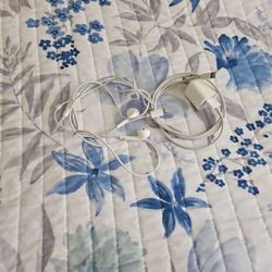 Earbuds With iPhone Charger 