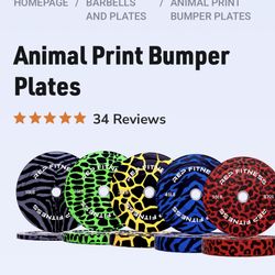 REP Fitness  Bumper Plates