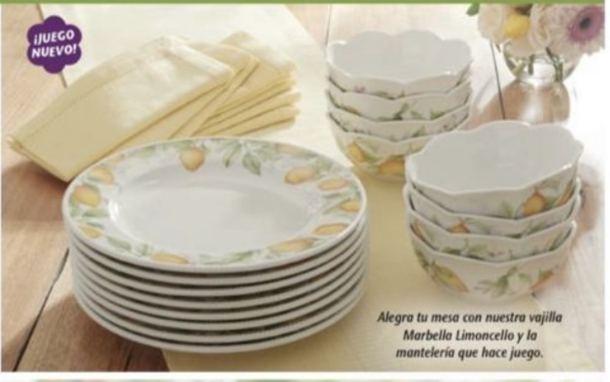 Princess House Vajilla Mantel Y Servilletas