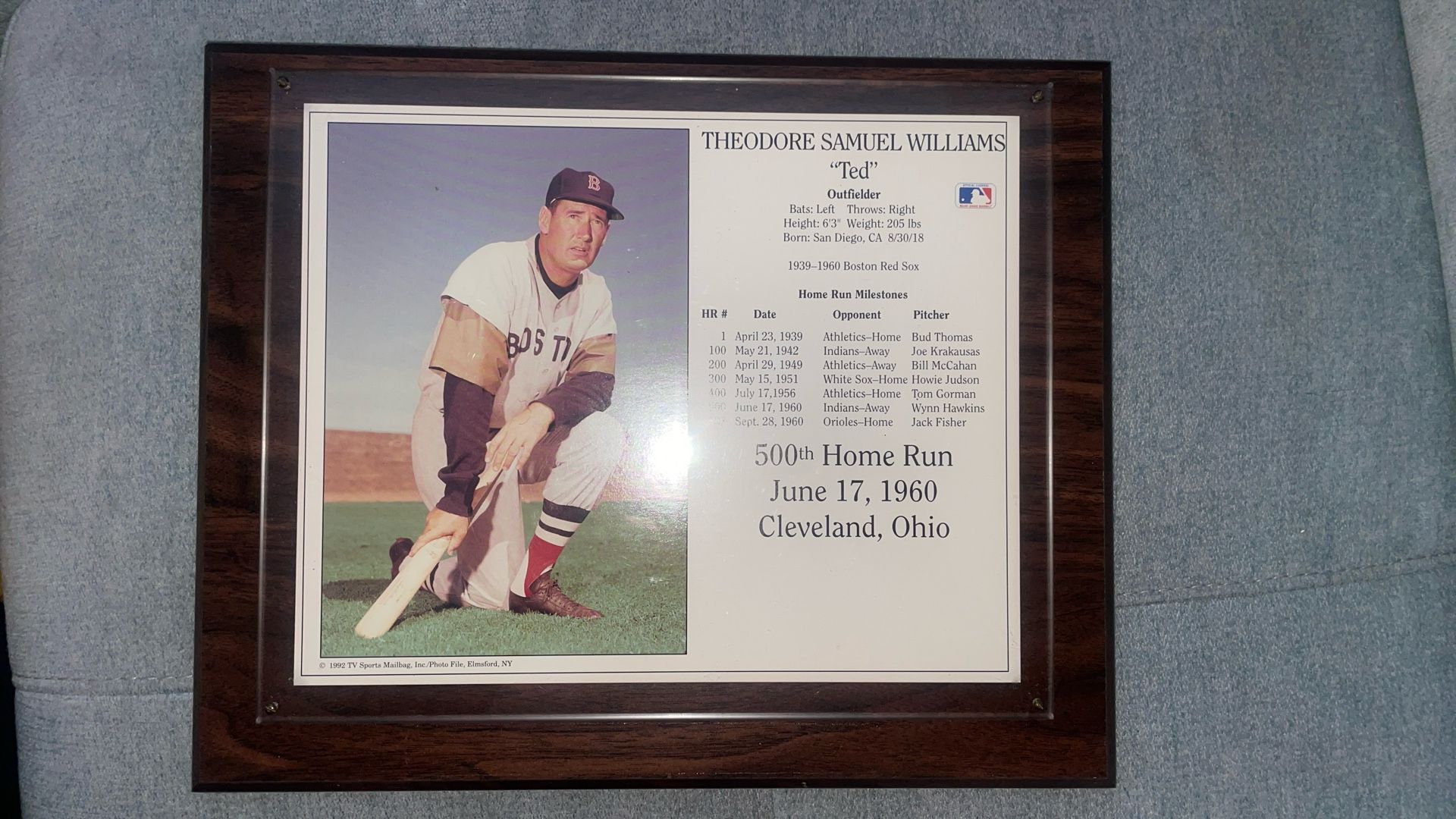 THEODORE SAMUEL WILLIAMS “Ted” June 17th 1960 500th Homerun Milestone Plaque 