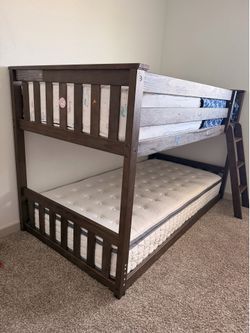 Aileana Bunk Bed