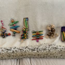 Never Used Parrot Toys
