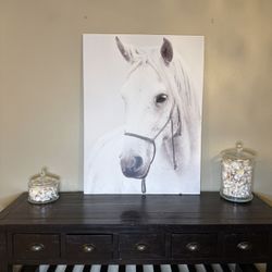 Large White Horse Canvas Wall Art