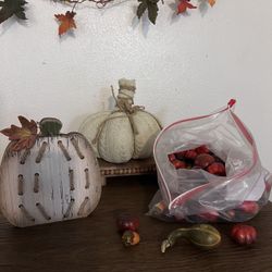 THANKSGIVING/FALL DECOR