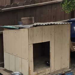 Dog House