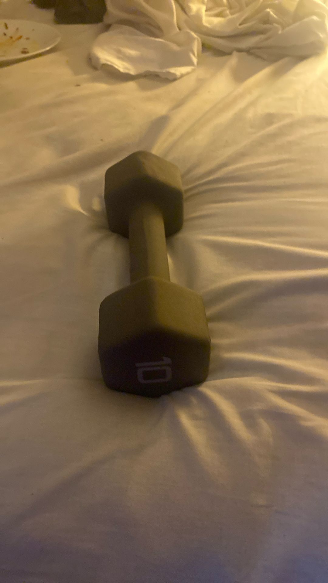 10 Pound Weights