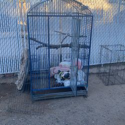 Big Bird Cage 