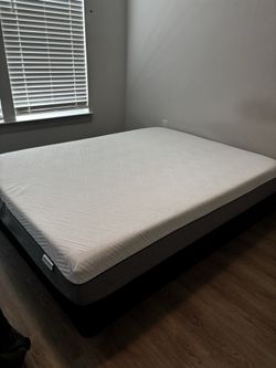Mattress and box spring (FULL size bed)