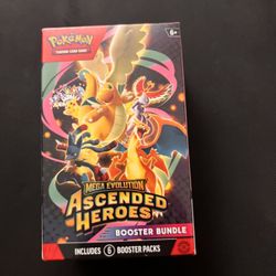 Ascended Hero’s Pokemon
