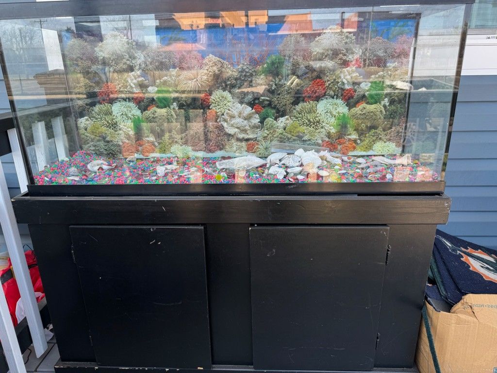 Fish Tank