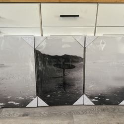3 Part Surf Canvas Picture Decor