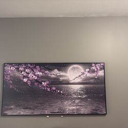 Moon Blossom Picture 
