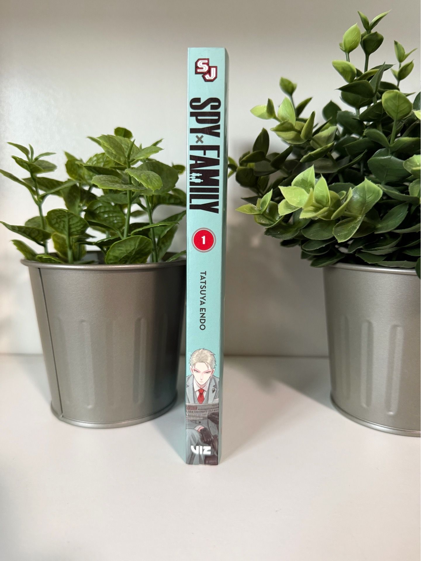 MANGA - Spy x Family (Vol. 1)