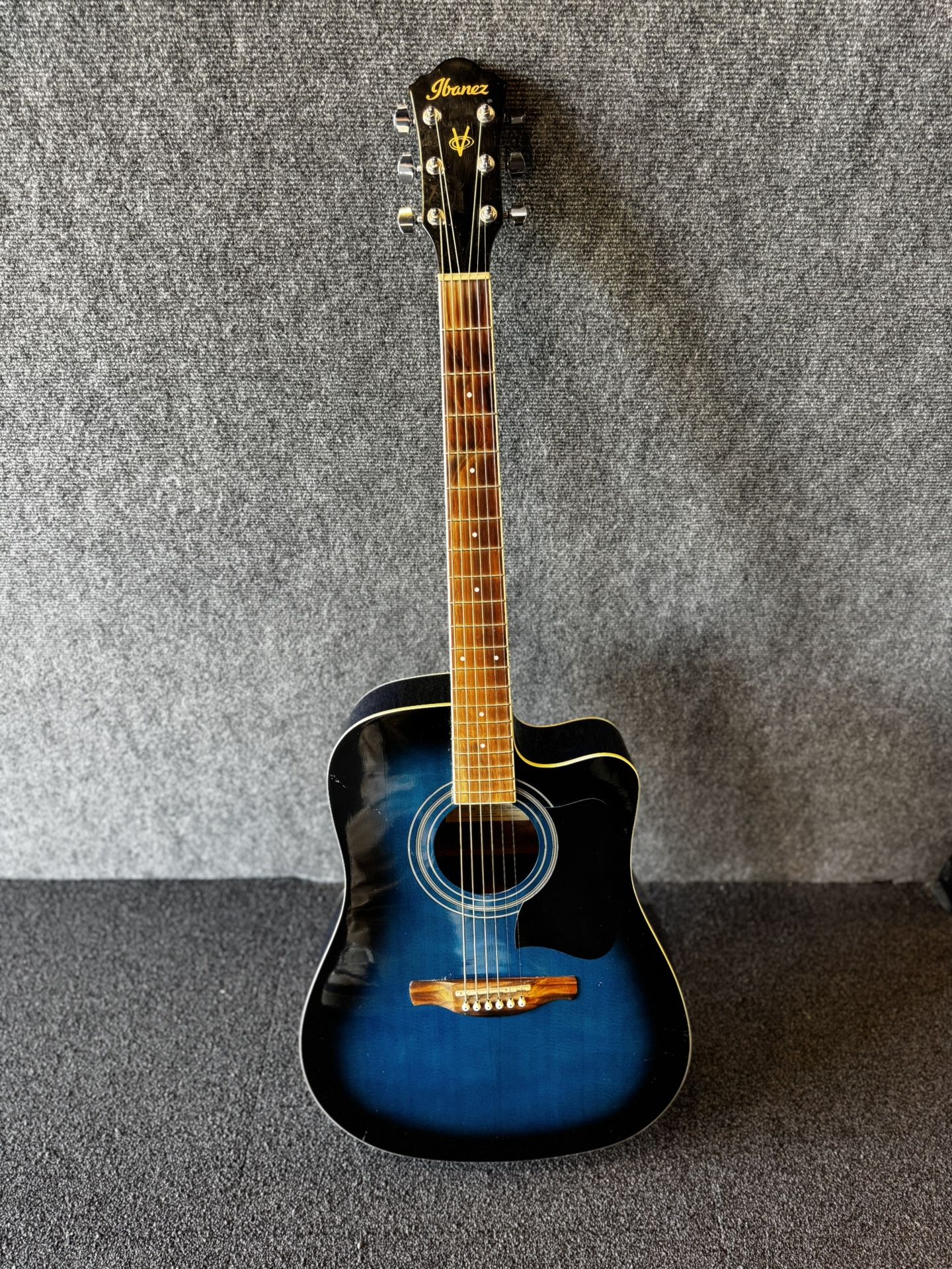 Ibanez Acoustic Electric Guitar