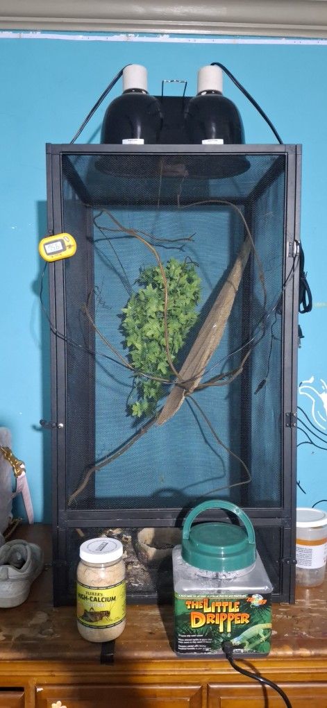Iguana Cage And Rabbit Cage