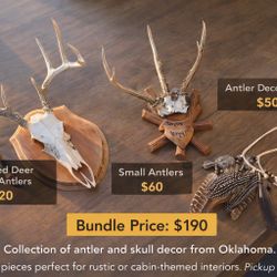 deer antlers multiple antique 