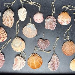 Lot of 25+ Handmade Wire-Wrapped Shell Pendants - Boho Beach Style