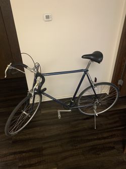 Old School Nishiki Royal 27”