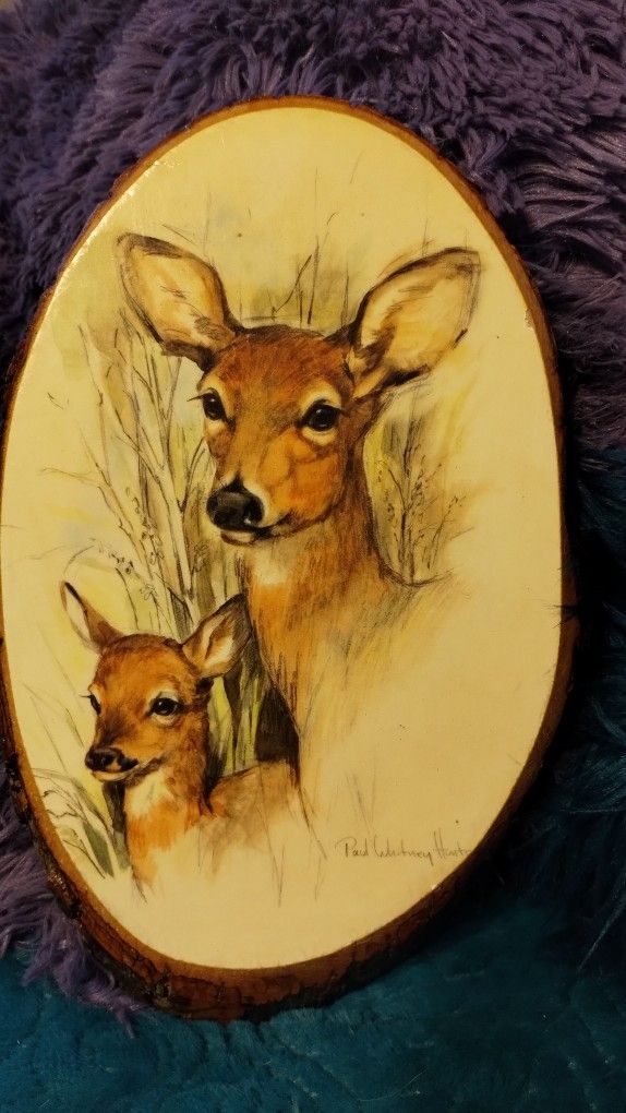 Rustic Deer Wall Signs