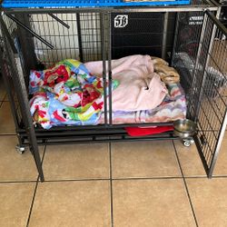 Dog cage kennel size 43 folding with divider and trays