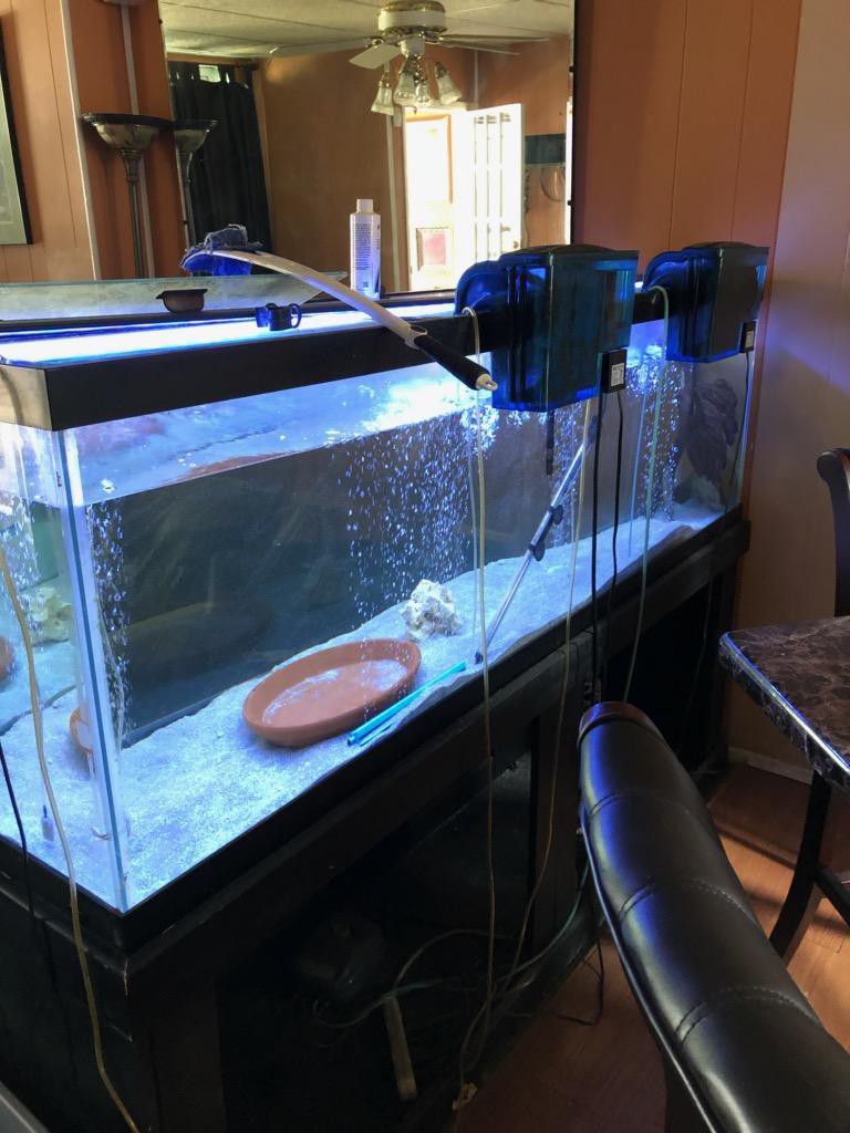 150 fish tank with stand and light