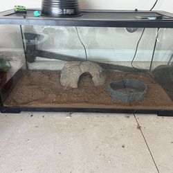 Snake Tank