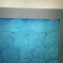 Capiz Shell Sea Blue Ombré Wall Art 43”x32”x1”