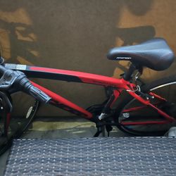 Sport Bike (New)