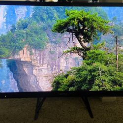 55” Sony Bravia