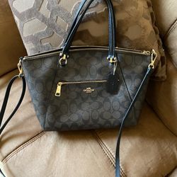 Coach Purse/crossbody 