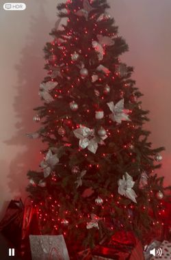 Árbol