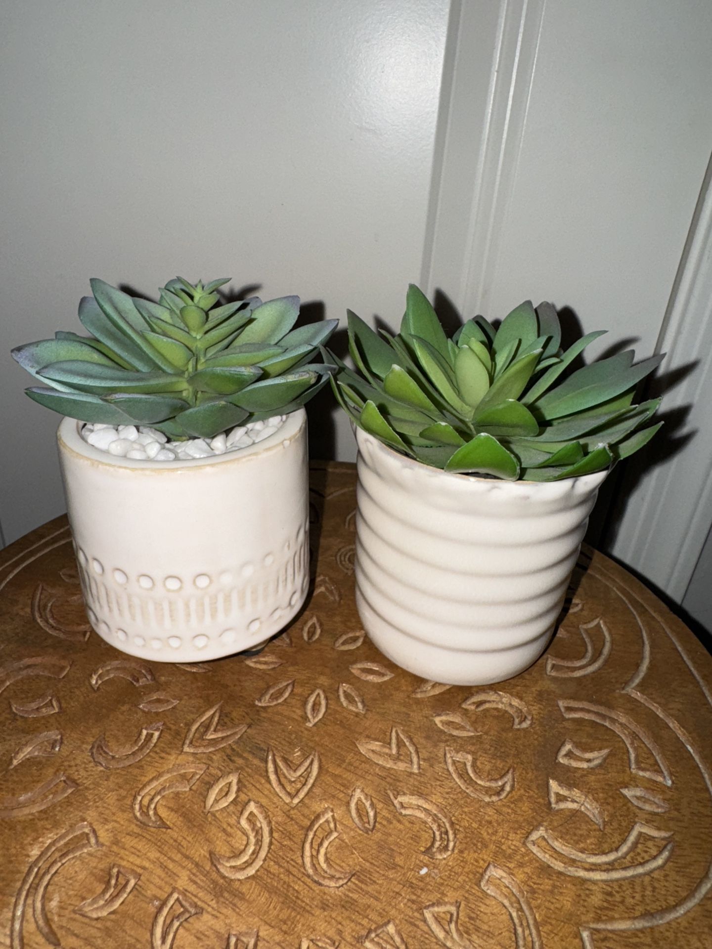 Succulent Decor