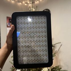 Growing Light
