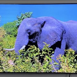 Samsung 55 Inch 4K Smart Tv