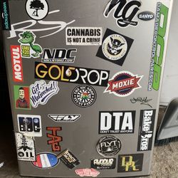Mini Fridge 