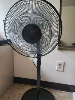 Fan